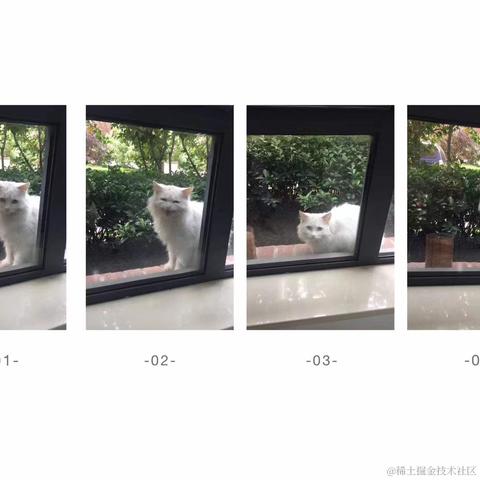 Aly于2021-12-24 08:41发布的图片