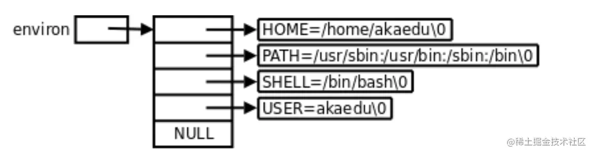 image-20220219234600061