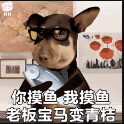 做什么梦呢于2022-09-28 18:21发布的图片