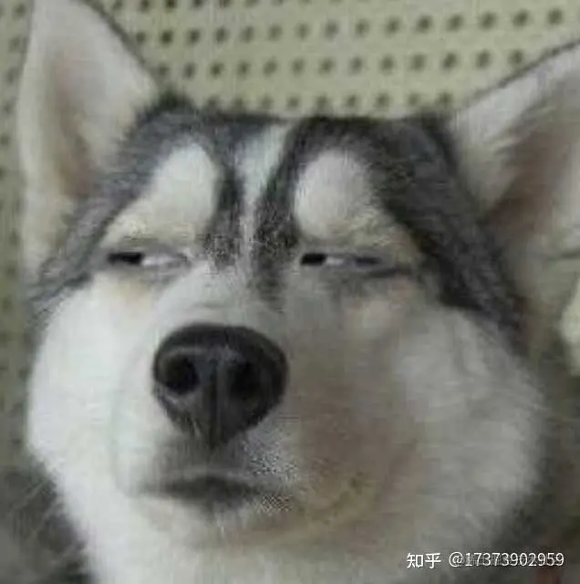 1651cbfd336d45bb12a38491cc85061d