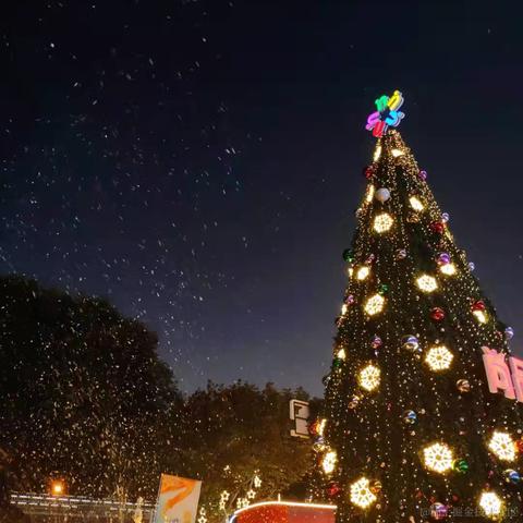 小May_于2020-12-28 08:53发布的图片