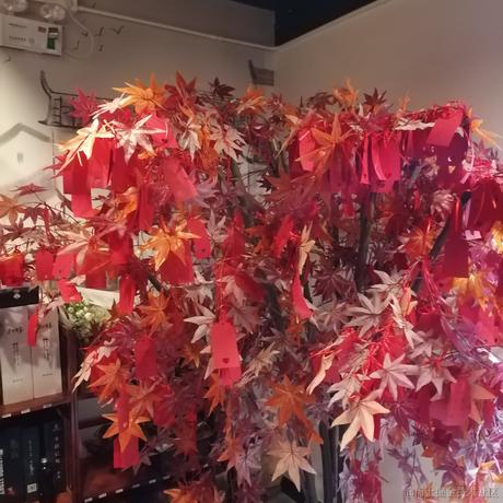 北极的奶琪琳于2022-11-16 23:29发布的图片