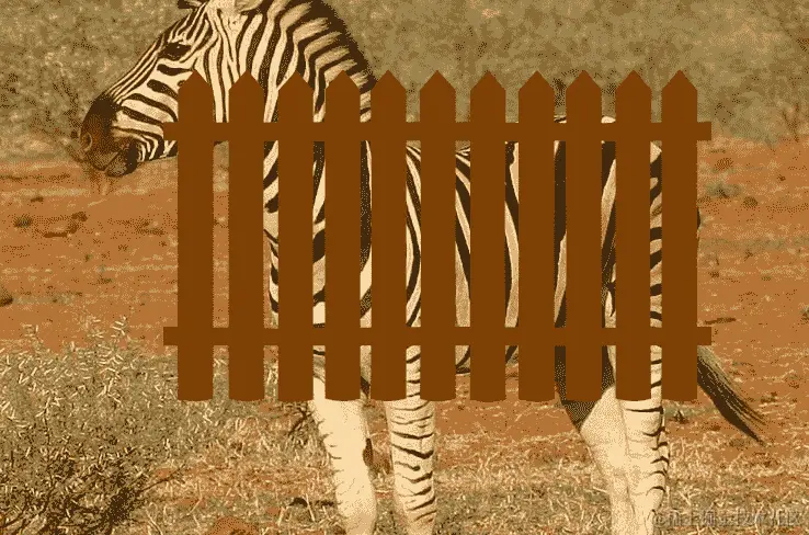 800x741 像素斑马站在卡通围栏后面被裁剪