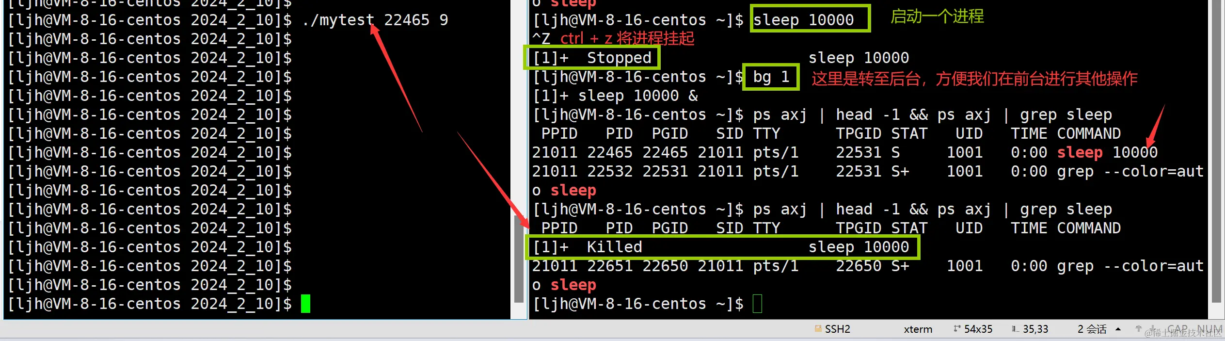 image-20240211013543297