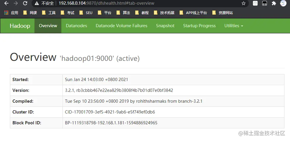 image-20210124141344647