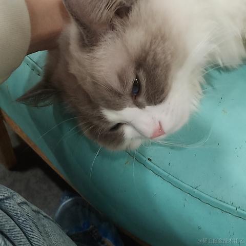 ntses于2023-04-29 10:54发布的图片