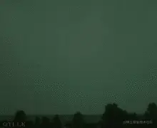 自然界中的宽搜