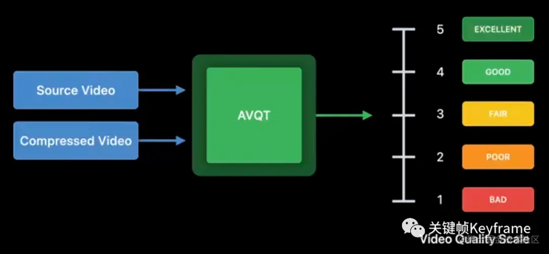 AVQT 工作流程