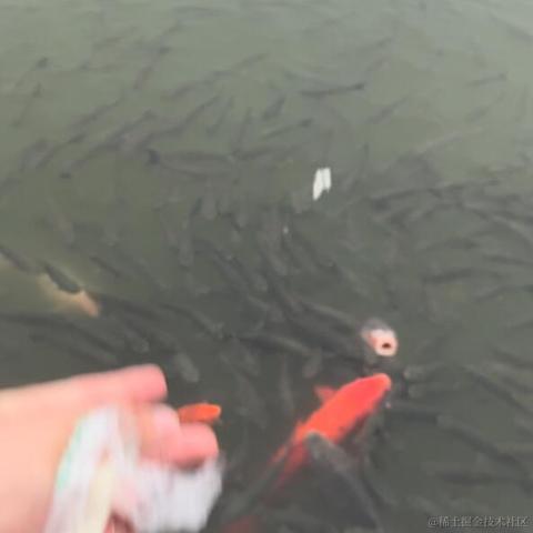 呜喵喵于2022-11-25 21:17发布的图片