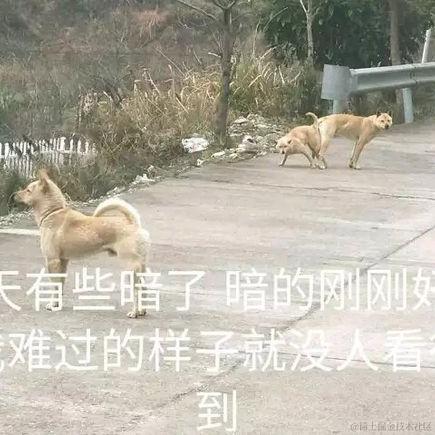 王狗狗年于2020-08-25 17:21发布的图片