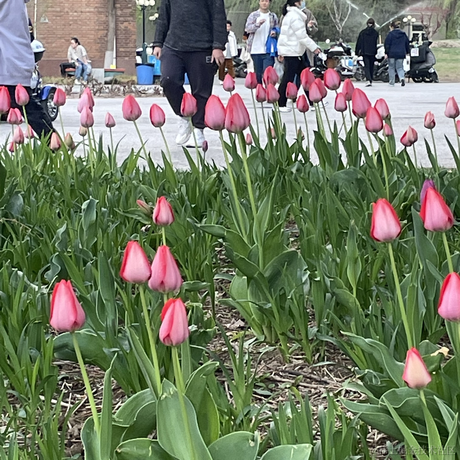 大草原的湖边6于2023-04-10 07:45发布的图片