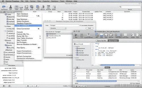 揭示 Navicat 的隐藏搜索功能