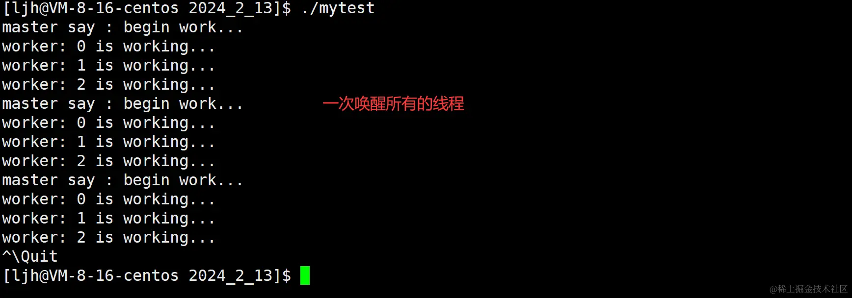 image-20240213230124451