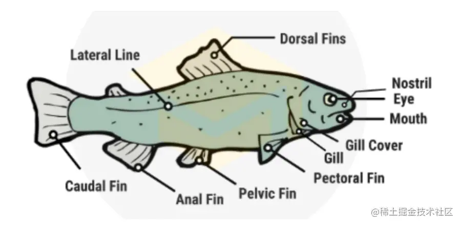 image-20220726215253172