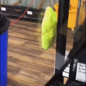 Daniel_01于2022-08-01 09:39发布的图片