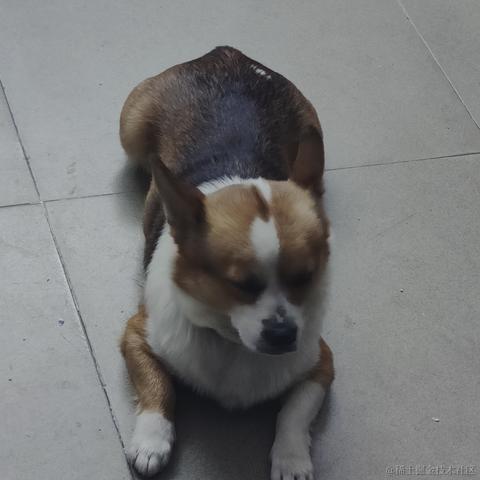 紫竹好好吃饭于2022-12-08 21:44发布的图片