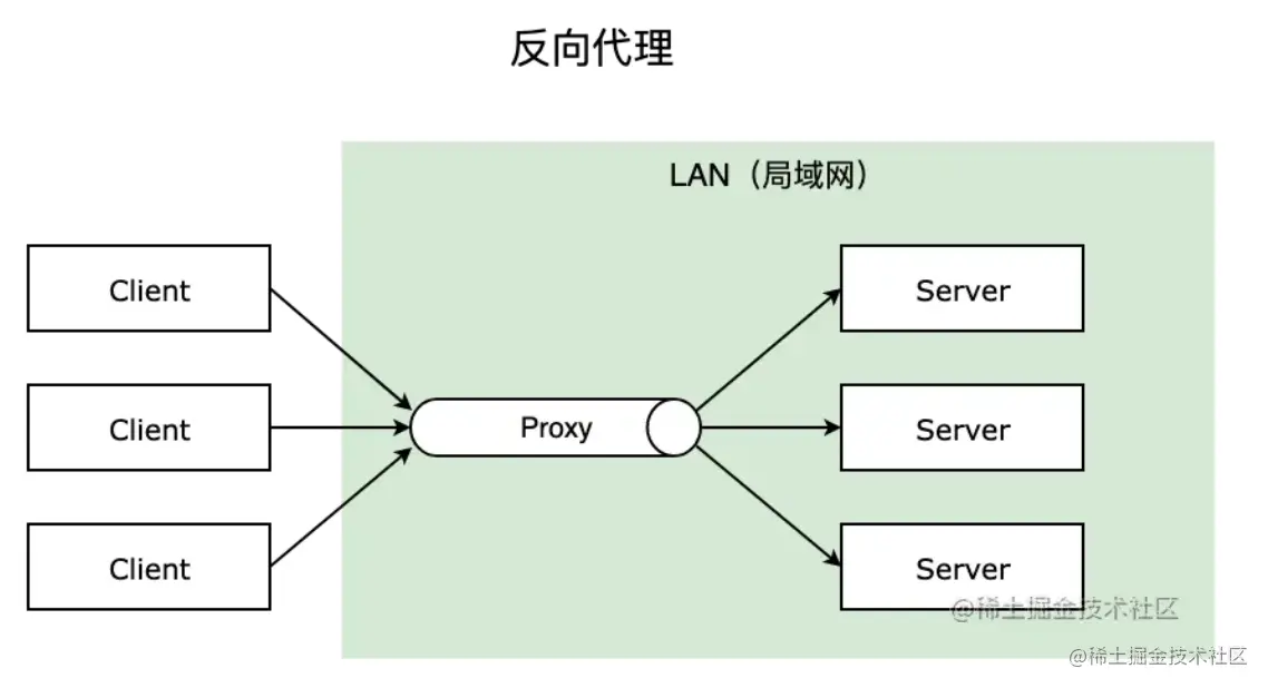 image-20220708005938534.png