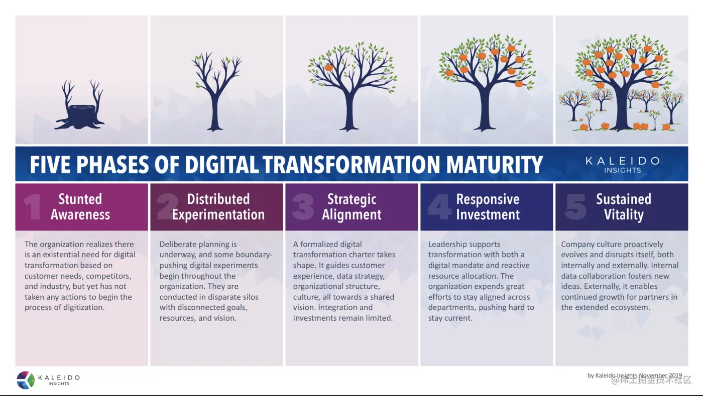 数字化转型阶段