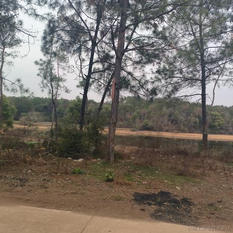 君莫笑666于2023-01-22 23:59发布的图片