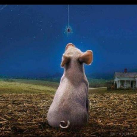 mortimer于2024-03-08 12:28发布的图片