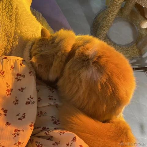 某米于2022-12-13 10:20发布的图片