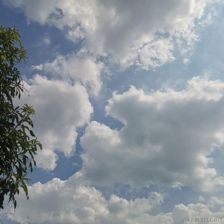 Ava大水母于2023-07-29 23:38发布的图片