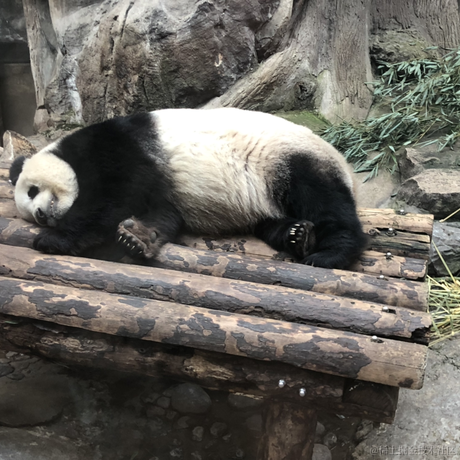 漆黑的呆桃于2021-02-15 15:36发布的图片