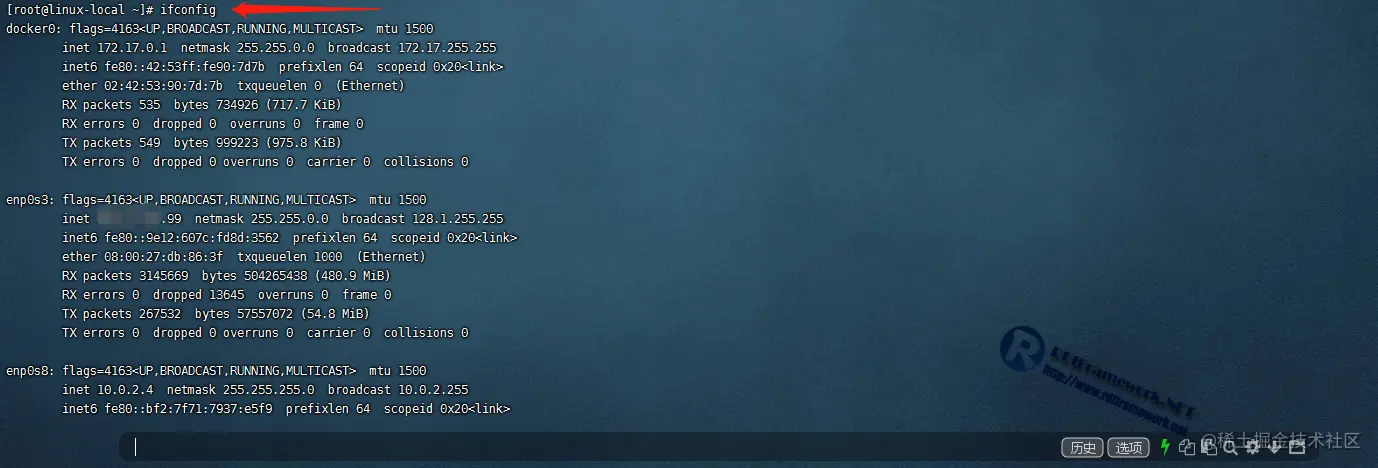 显示当前网络接口状态