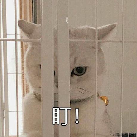 狗砸于2023-01-27 08:58发布的图片