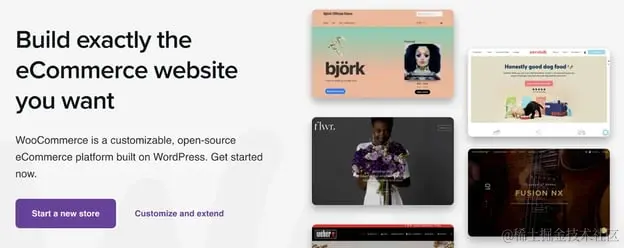 Best ecommerce website builders: Woocommerce