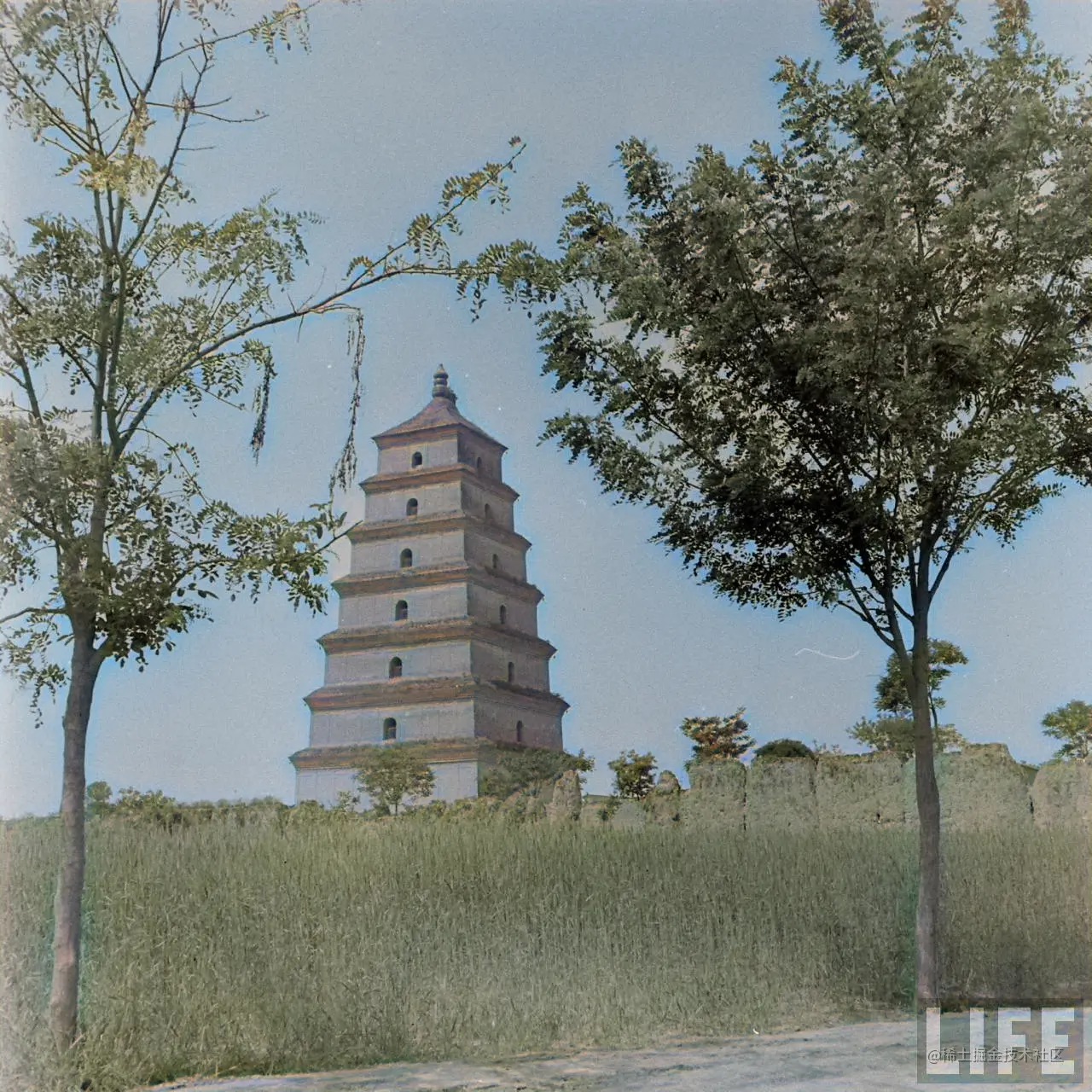1947年，陕西西安。大雁塔。5.png