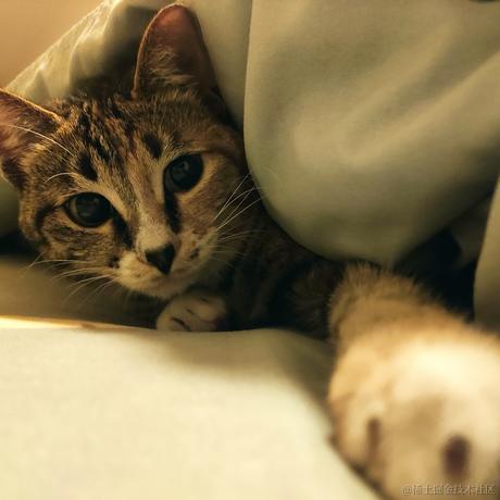 苏菲于2022-04-14 21:00发布的图片