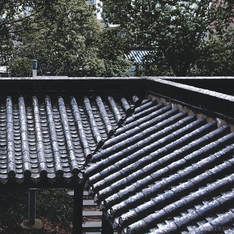 啵啵蘸酱于2022-12-01 16:31发布的图片