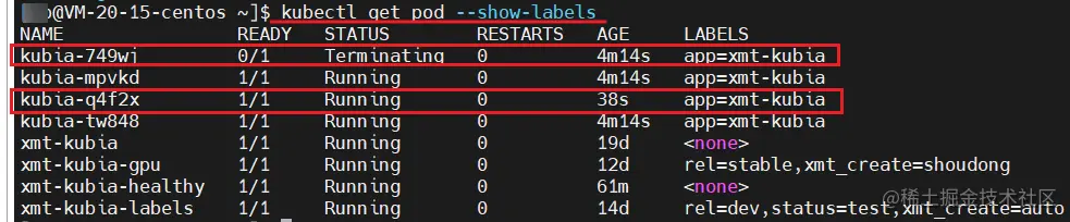 image-20211225110330714