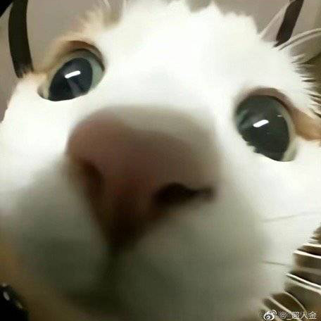 sheeeeeeeeep于2023-05-10 21:24发布的图片