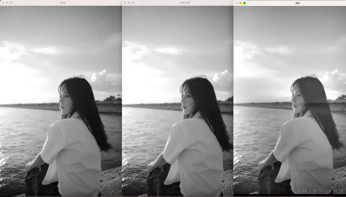 灰度图像vs椒盐噪声vs巴特沃斯低通滤波的效果.png