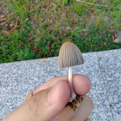 Uwiling于2022-11-28 19:58发布的图片