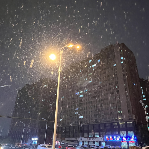 阿刁_于2022-12-16 18:10发布的图片