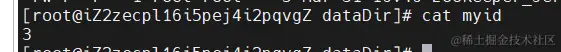 image-20240331211648620