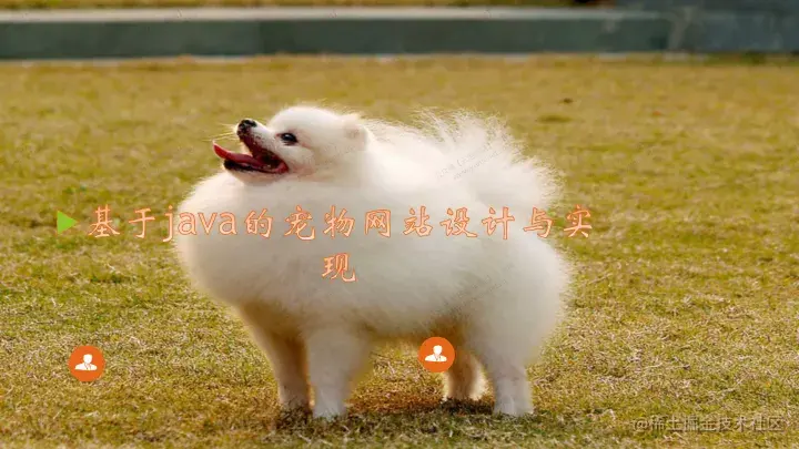 基于java的宠物网站设计与实现的论文PPT源码（包调试运行成功）