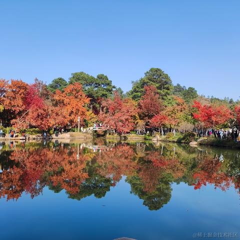 优秀稳妥的金枪小魔王于2023-11-22 11:24发布的图片