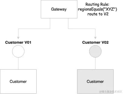 允许不同版本共存