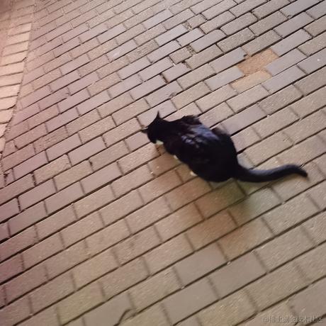 蒸虾头于2022-11-22 12:32发布的图片