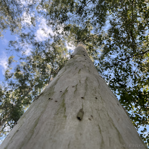 神奇的程序员于2021-11-27 14:14发布的图片