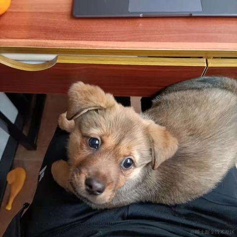 树洞robot于2021-02-25 17:42发布的图片