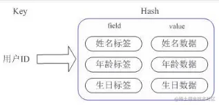 image-20211031160045876