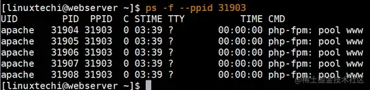 process-based-on-ppid-ps-command