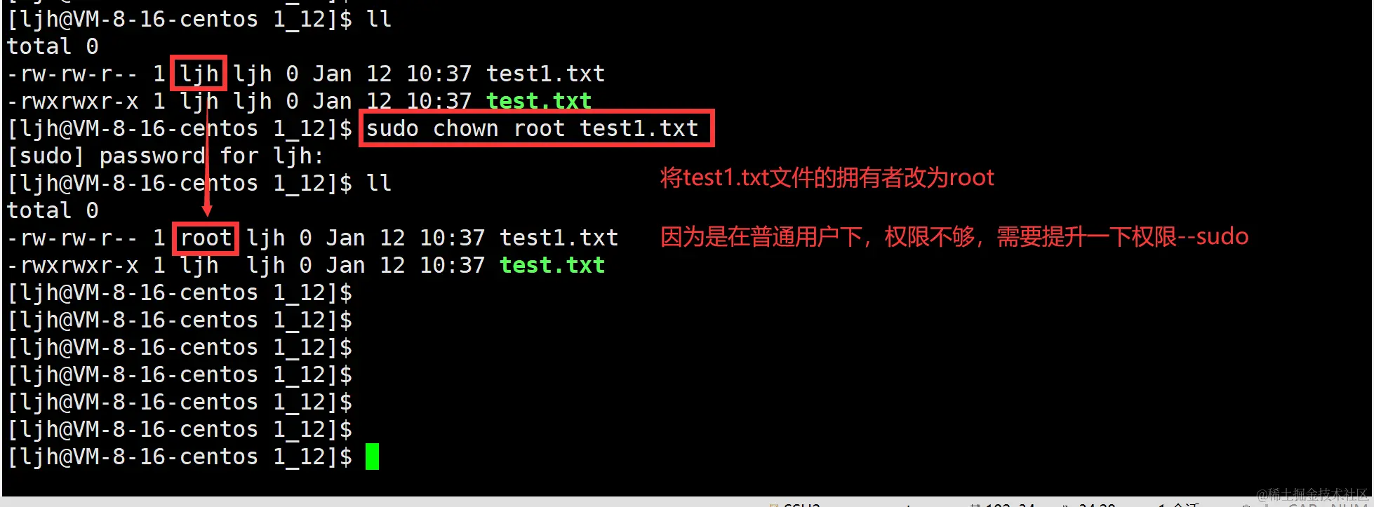 image-20240112105118998